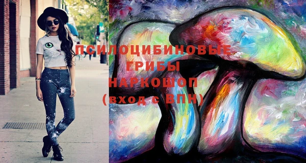 экстази Ельня