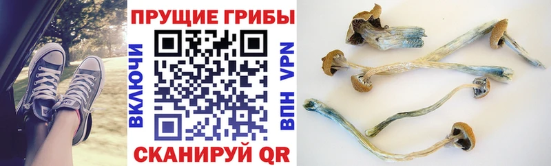 Псилоцибиновые грибы мицелий  OMG зеркало  Ишимбай 